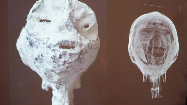 【国際】「地球外生命体」のミイラは偽物 ペルー政府見解