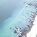 【北海道】海が白濁…小樽の河口付近は真っ白に　「群来」を確認　ニシンが産卵で大量に押し寄せ　豊漁に期待