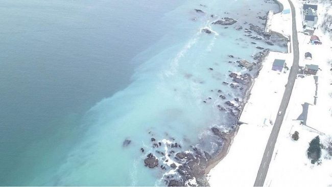 【北海道】海が白濁…小樽の河口付近は真っ白に　「群来」を確認　ニシンが産卵で大量に押し寄せ　豊漁に期待