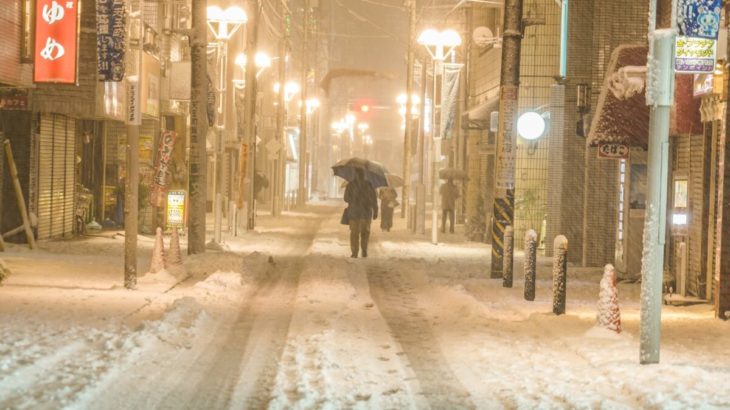 【社会】関東の大雪で雪像つくり職人が大挙して出現　いたるところで雪まつりを勝手に開催
