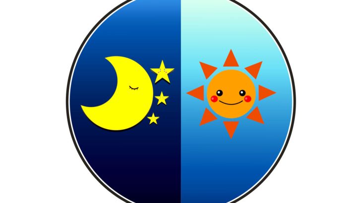 【社会】「朝型」と「夜型」で朝の景色の見え方が違うと判明！