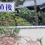 【社会】元「大改造!!劇的ビフォーアフター」の匠が作った庭→4年後、本人が見に行くと……　「これは…」驚愕の変化に反響