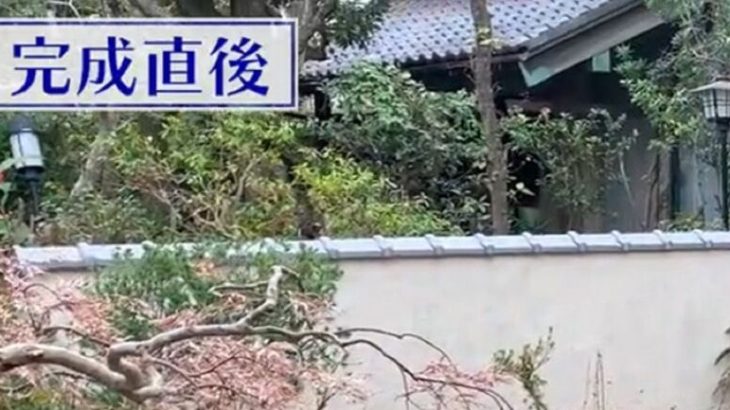 【社会】元「大改造!!劇的ビフォーアフター」の匠が作った庭→4年後、本人が見に行くと……　「これは…」驚愕の変化に反響