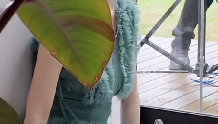 【芸能】渡邊渚アナ、SNSでフォトエッセーPR「紙の本にあるもののイラストがあるので探してみて。細かい部分にも意味を持って書いてます」