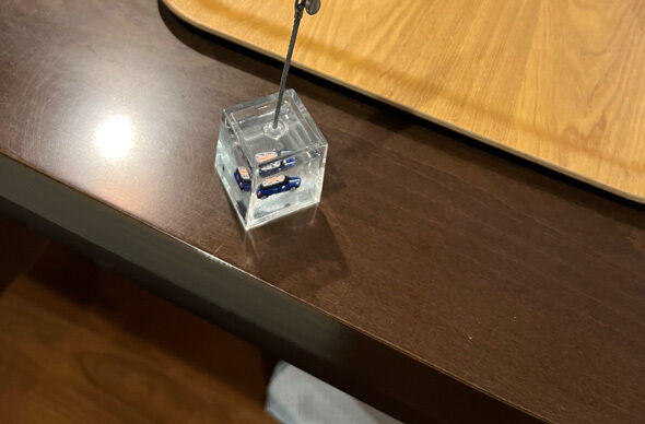 【社会】3歳息子の“ご飯イヤイヤ”→ママの天才アイデアで解決！　580万表示の意外な発想に「その手があったか！」「導入してみます」