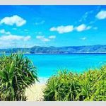 【芸能】大竹しのぶ　長女IMALUが奄美大島に住んだ理由「一緒に暮らしてる彼がいるんですけど…」  人柄も明かす