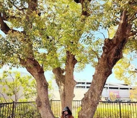 【芸能】ん、何あった？井浦新　突然ＳＮＳに　髪も髭も伸びて、ボロボロの衝撃姿　まるで別人の激変に「誰か分からん」