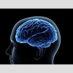 【芸能】脳科学者が明かす！本の知識がなかなか定着しない、読んでもすぐ忘れる…を解消する「脳の使い方」