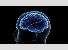 【芸能】脳科学者が明かす！本の知識がなかなか定着しない、読んでもすぐ忘れる…を解消する「脳の使い方」