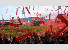 【野球】「カープ女子」はどこへ？ピーク時からは落ち着く広島カープ観客動員…平均観客数は前年割れ