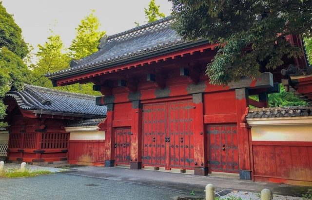 【社会】東大推薦に「数学の天才」はいらないのか？ 合格者一覧から消えた「ちょっと面白そうな子」