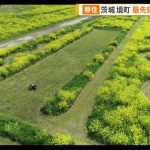 【地方】「東京より便利」「本当に暮らしやすい」　移住人気が急上昇中　プロが注目4つの街