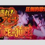 盛れミの盗作疑惑を徹底分析！その真相は？パクリらしい